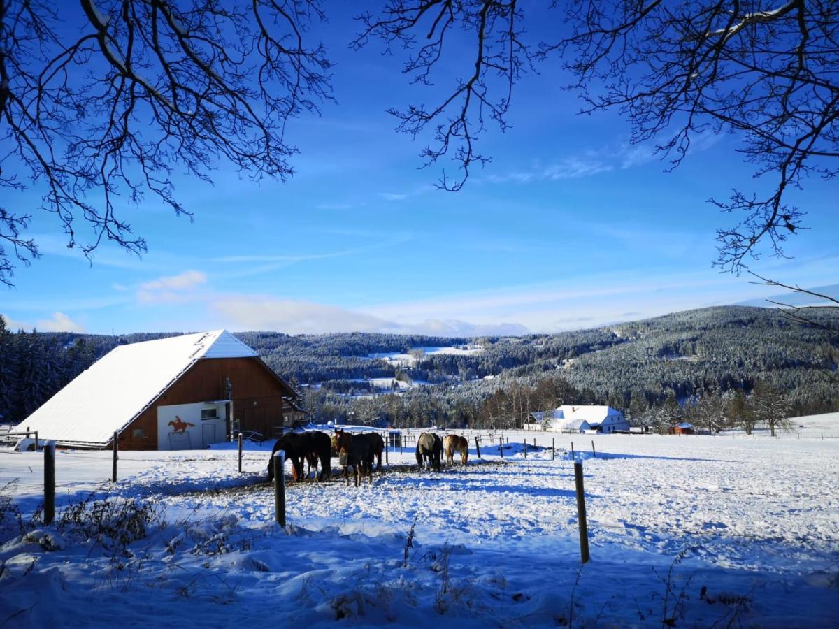 Apartman Spa Sumava Zdíkov Eksteriør billede
